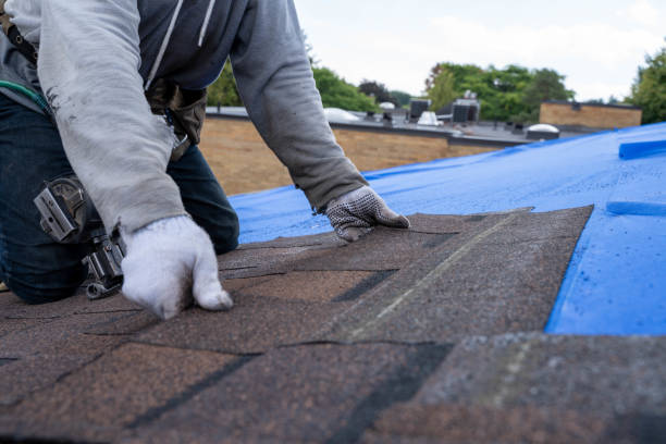 Professional Roofing Contractor in Roseville, CA